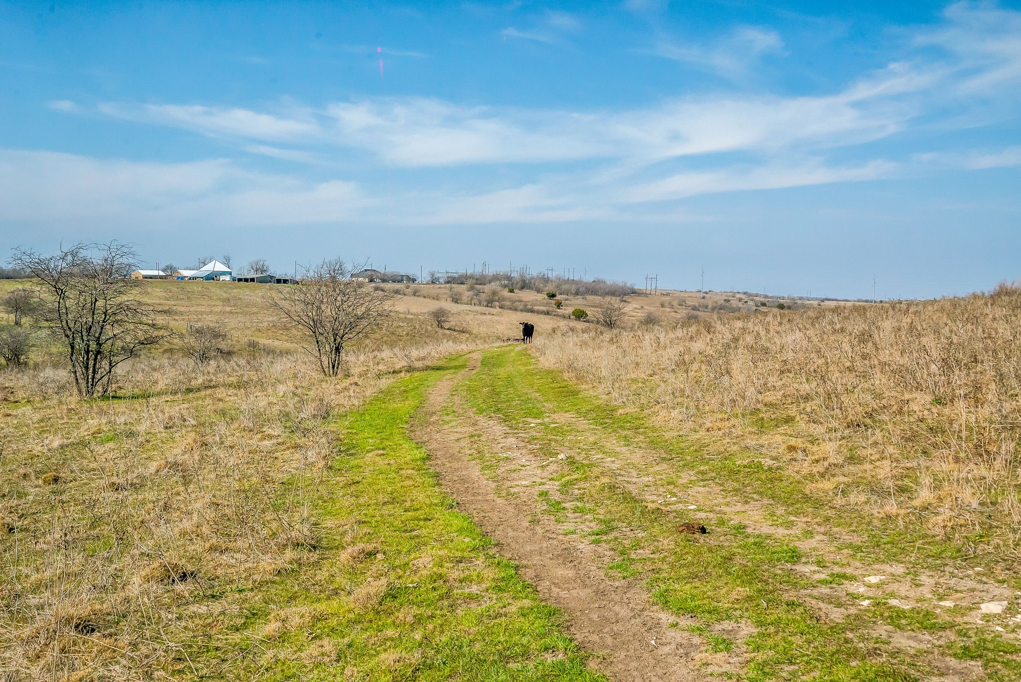 E 67 Acres Tbd Upper Denton Road Weatherford TX 76085