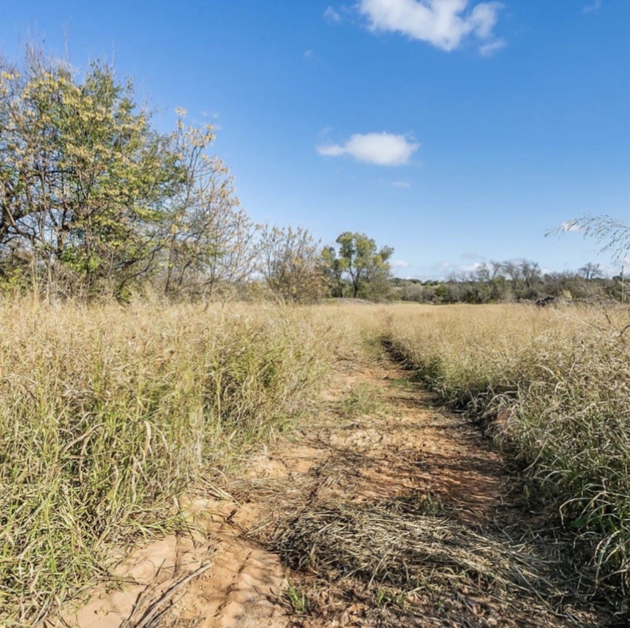 11407 Mitchell Bend Court Granbury TX 76048