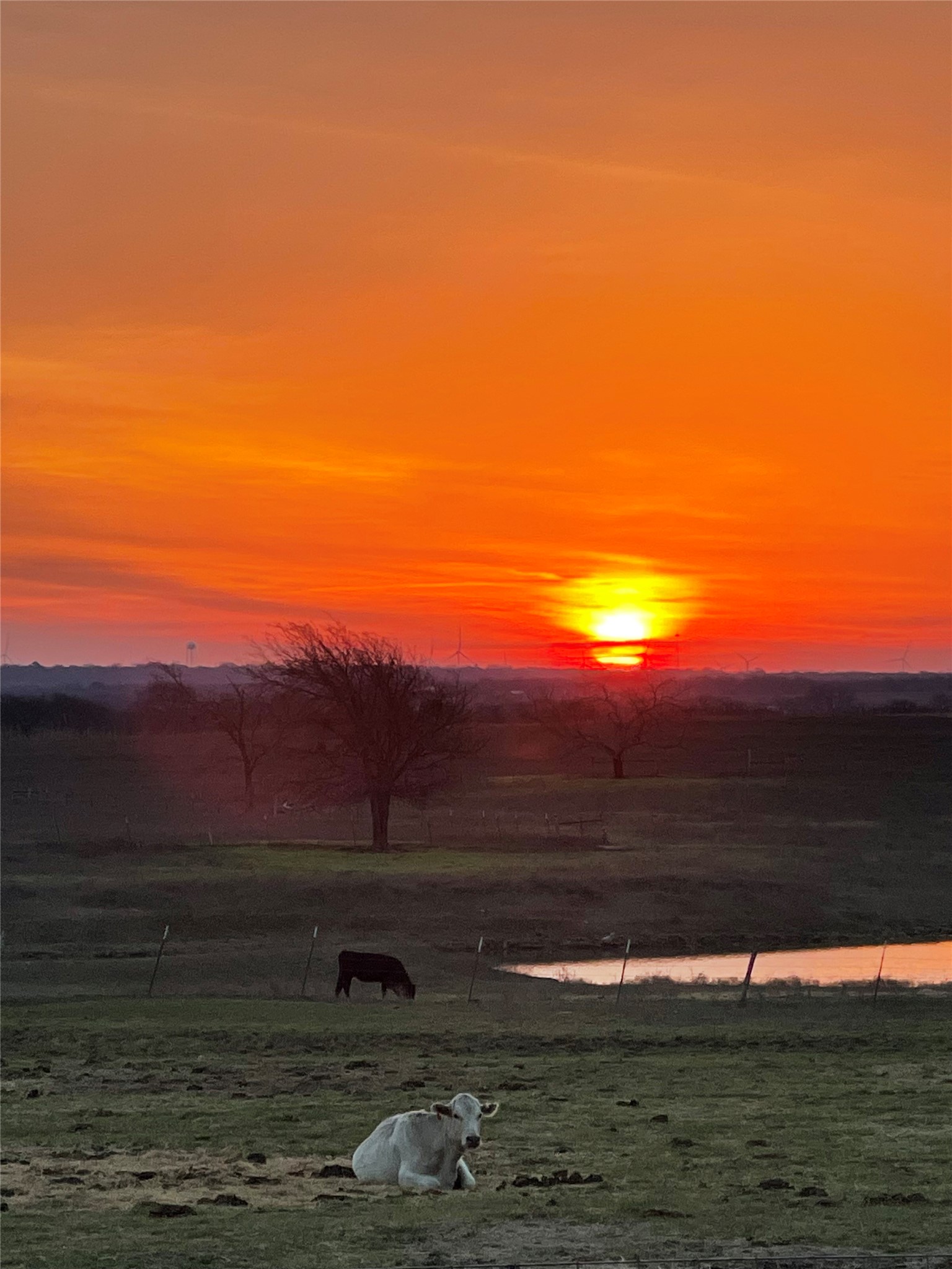 1044 Hcr 3241 Hubbard TX 76648