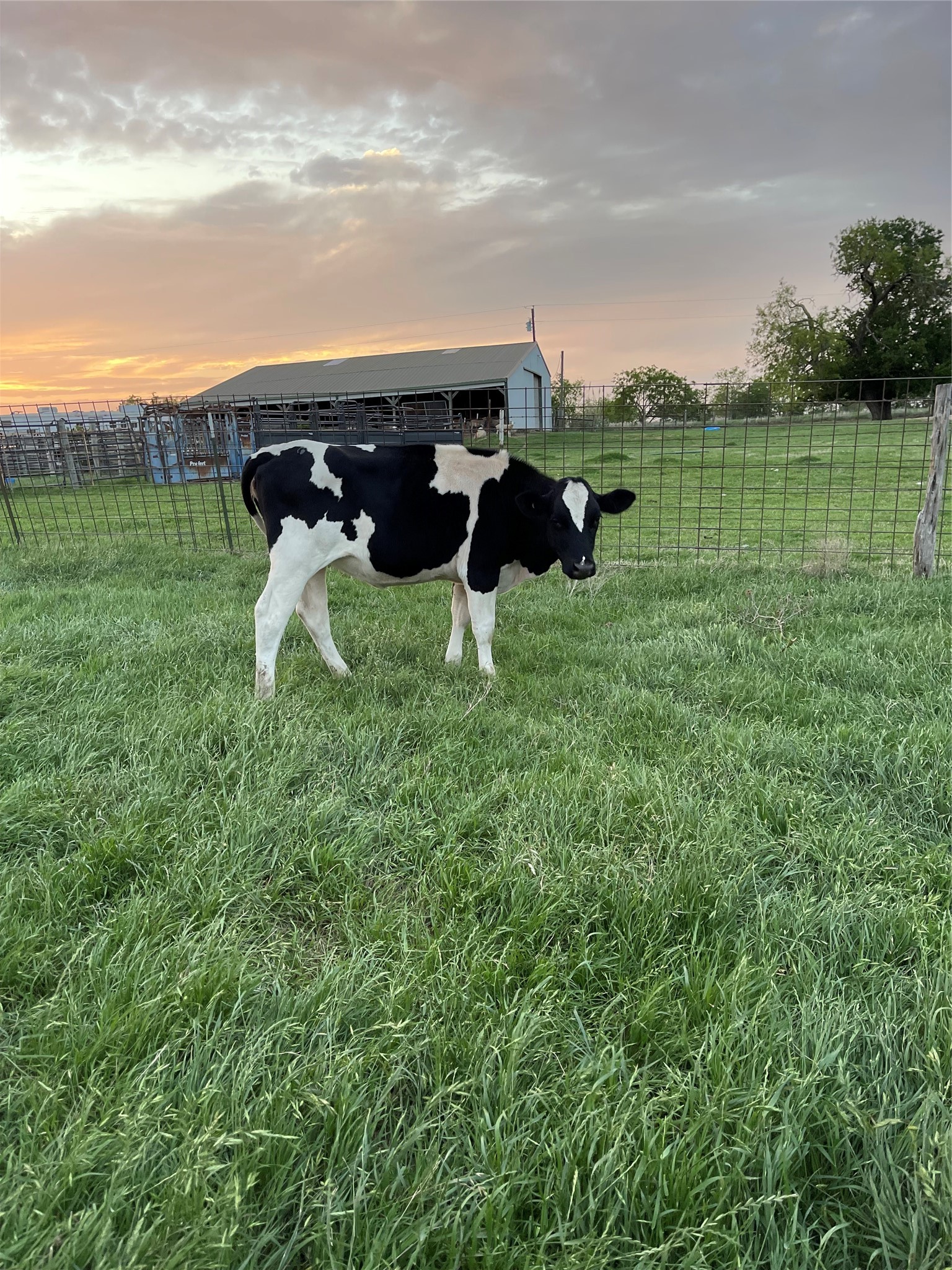 1044 Hcr 3241 Hubbard TX 76648