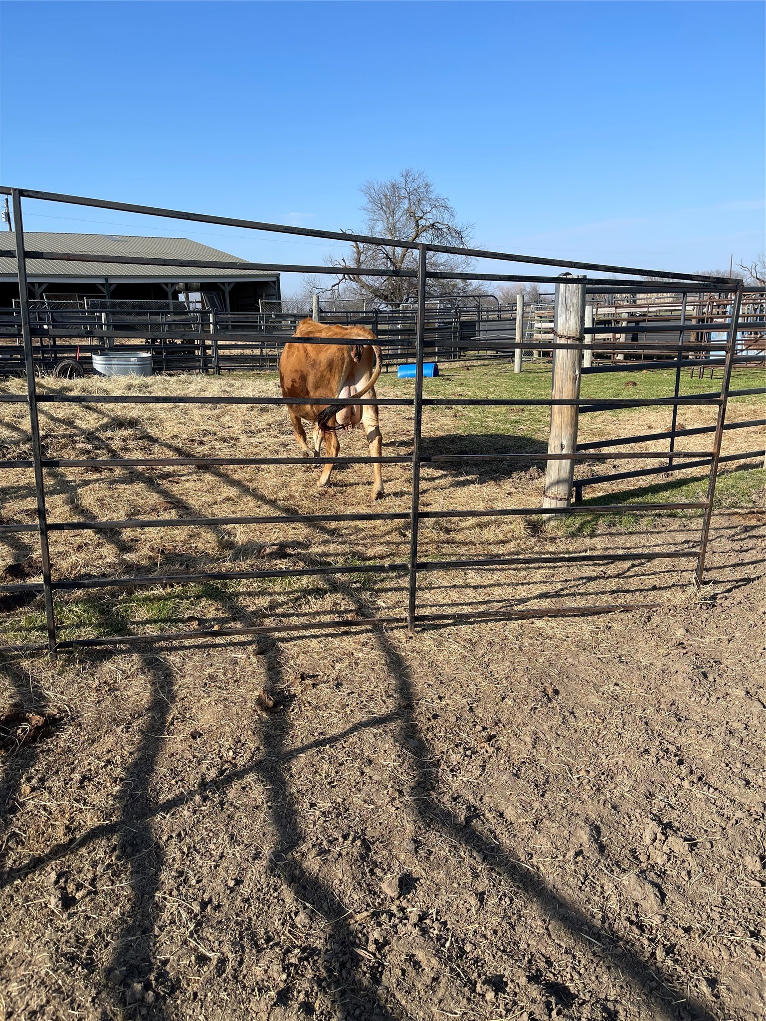1044 Hcr 3241 Hubbard TX 76648