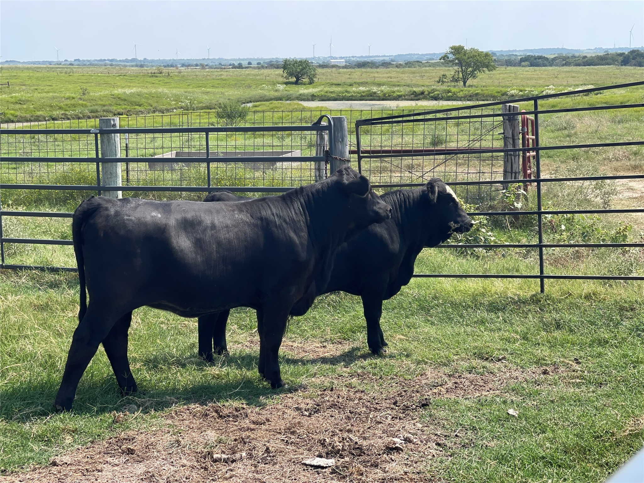 1044 Hcr 3241 Hubbard TX 76648