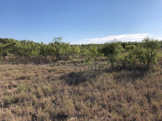 200 Fm 1085 Roby TX 79543
