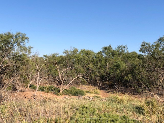 200 Fm 1085 Roby TX 79543