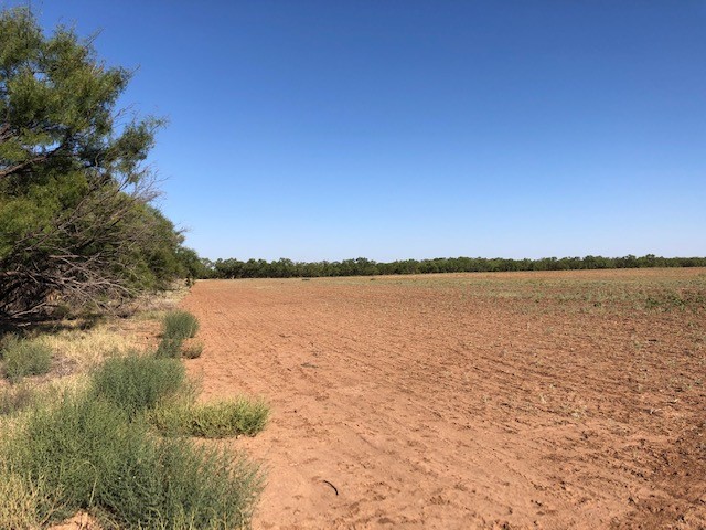 200 Fm 1085 Roby TX 79543