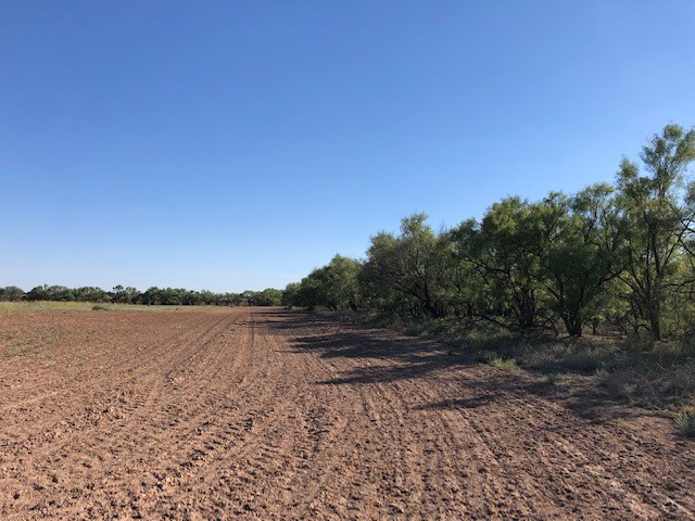 200 Fm 1085 Roby TX 79543
