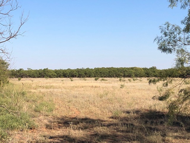 200 Fm 1085 Roby TX 79543