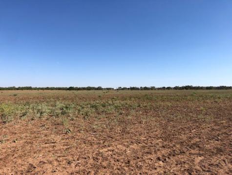 200 Fm 1085 Roby TX 79543