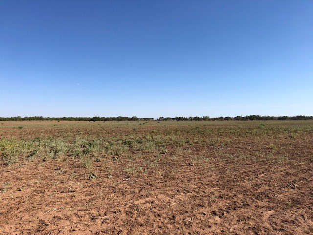 200 Fm 1085 Roby TX 79543