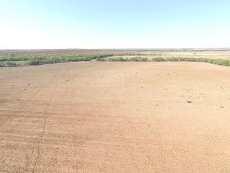 200 Fm 1085 Roby TX 79543