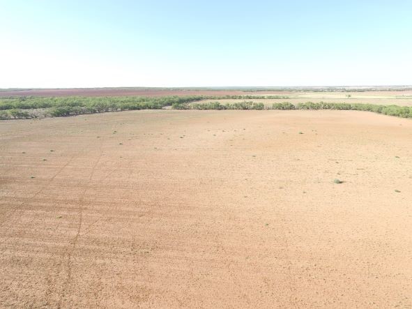 200 Fm 1085 Roby TX 79543