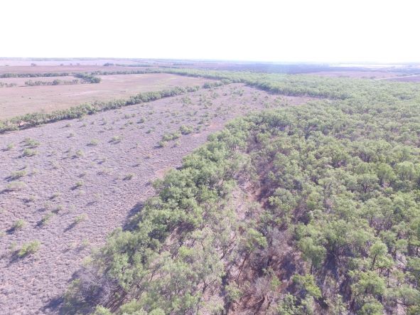 200 Fm 1085 Roby TX 79543