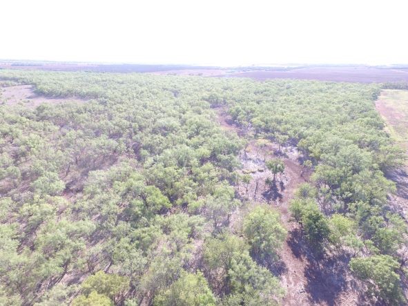 200 Fm 1085 Roby TX 79543