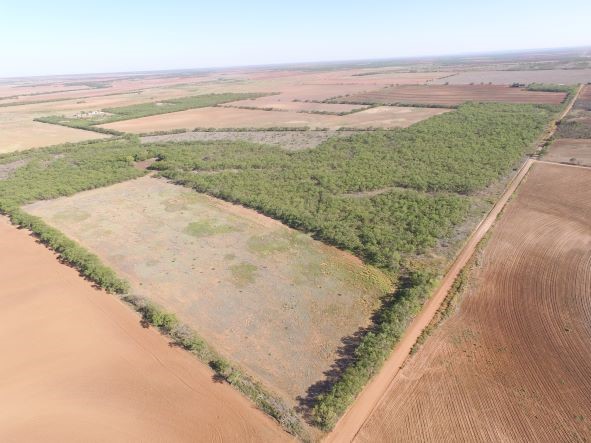 200 Fm 1085 Roby TX 79543