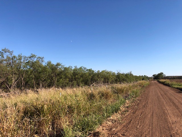 200 Fm 1085 Roby TX 79543