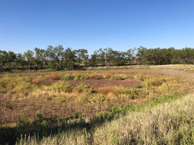200 Fm 1085 Roby TX 79543