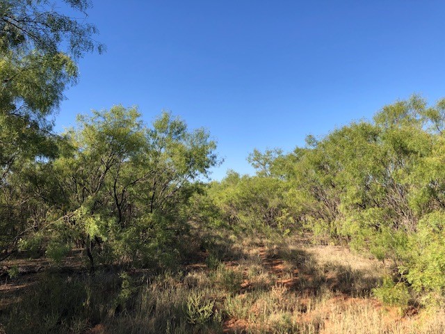 200 Fm 1085 Roby TX 79543