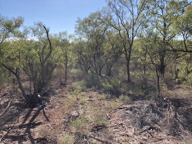 200 Fm 1085 Roby TX 79543