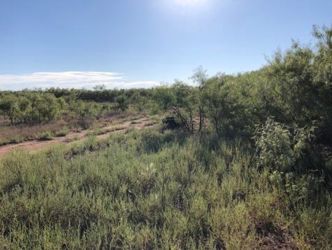 200 Fm 1085 Roby TX 79543