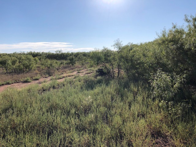 200 Fm 1085 Roby TX 79543