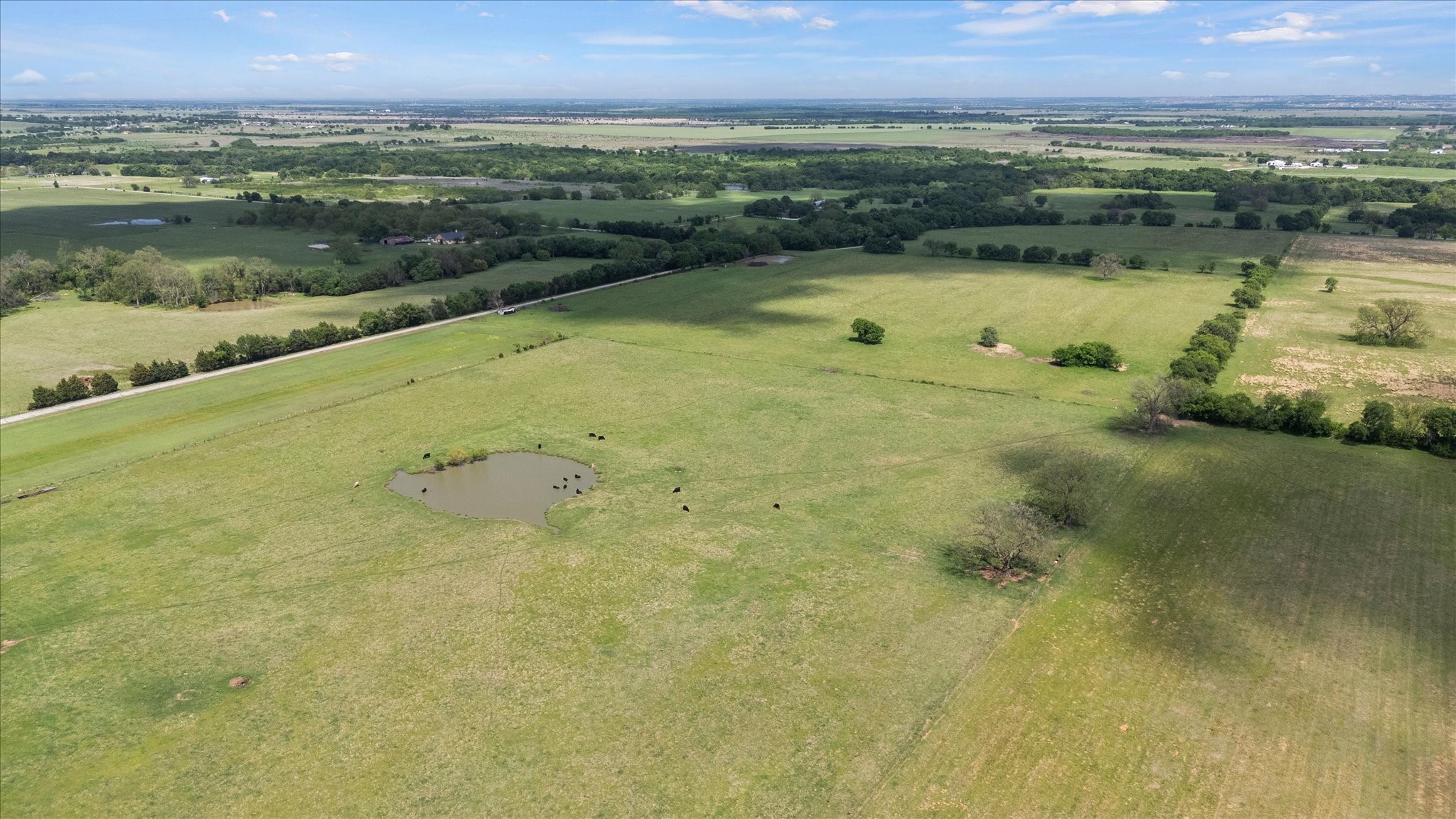 11742 Dane Road Pilot Point TX 76258