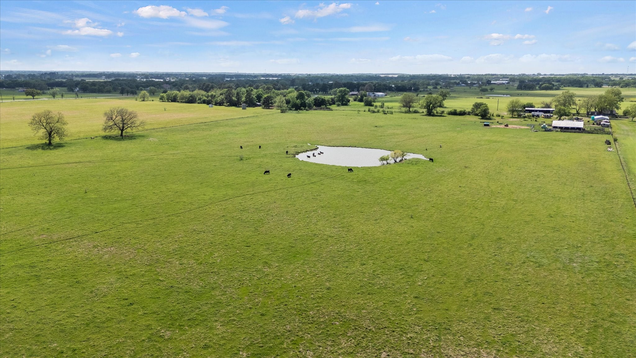 11742 Dane Road Pilot Point TX 76258