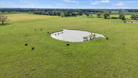 11742 Dane Road Pilot Point TX 76258