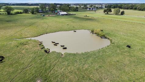 11742 Dane Road Pilot Point TX 76258