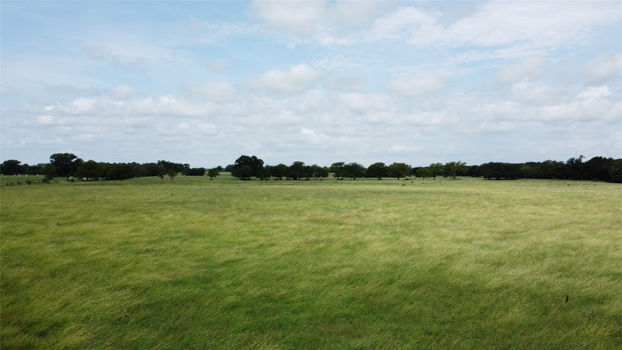 11742 Dane Road Pilot Point TX 76258