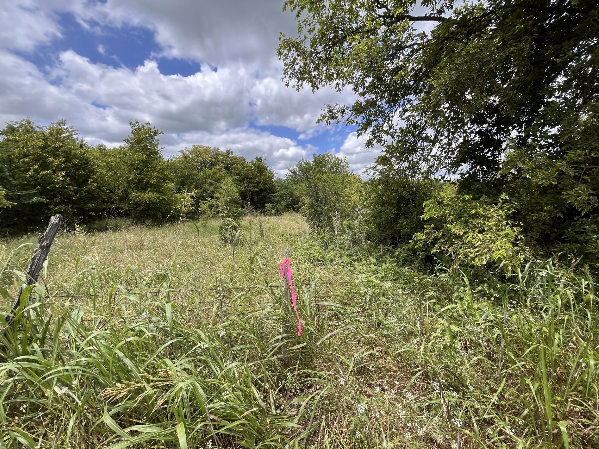 Cr 4365 Milford TX 76670