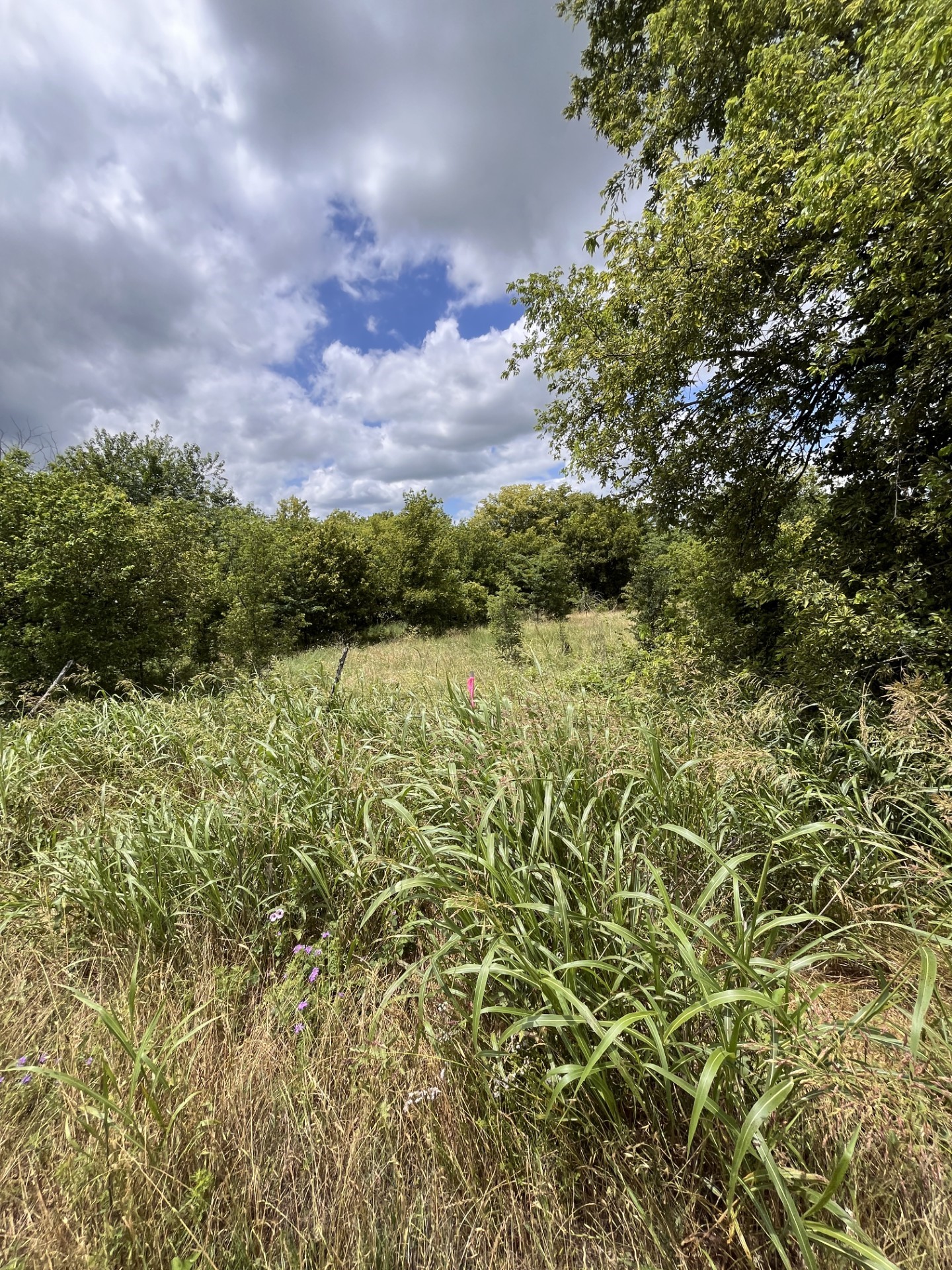 Cr 4365 Milford TX 76670