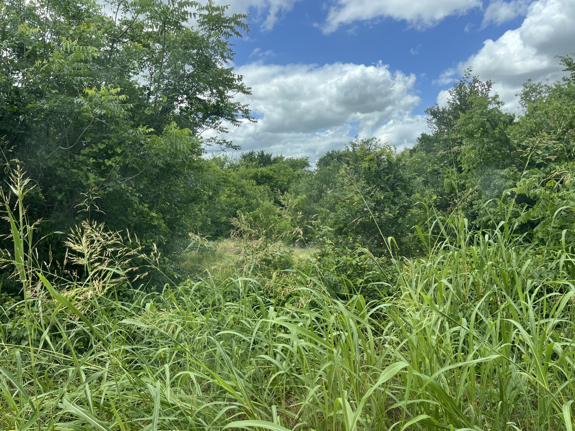 Cr 4365 Milford TX 76670