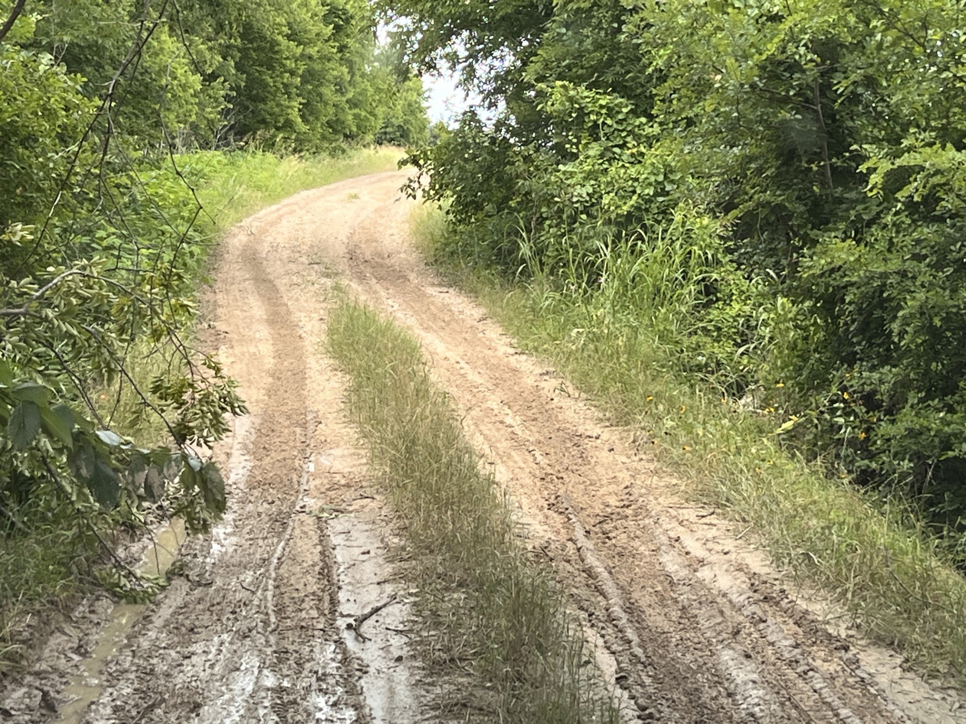 Cr 4365 Milford TX 76670