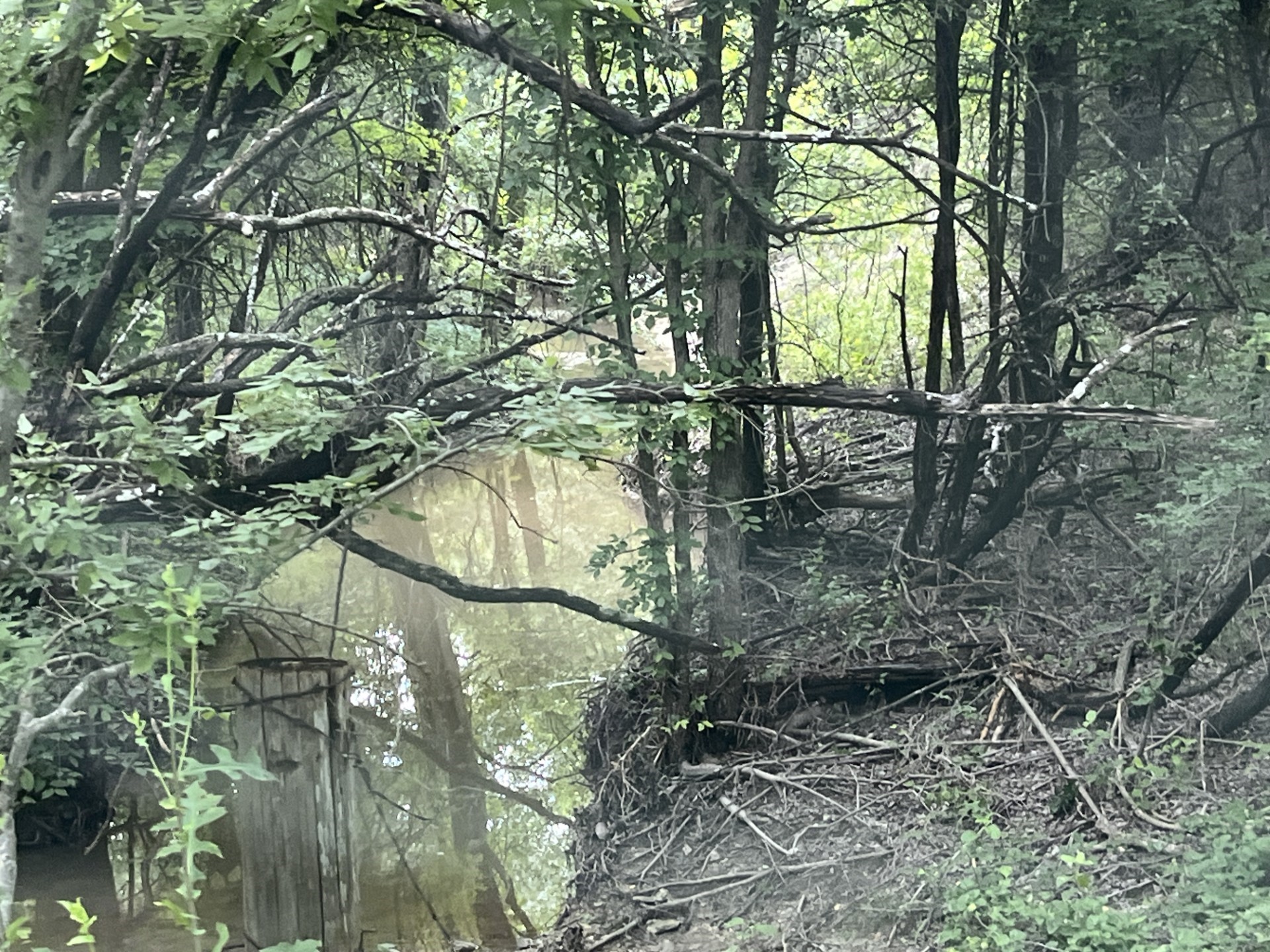 Cr 4365 Milford TX 76670
