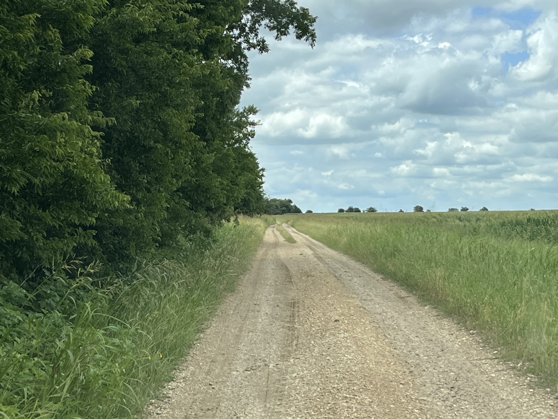 Cr 4365 Milford TX 76670