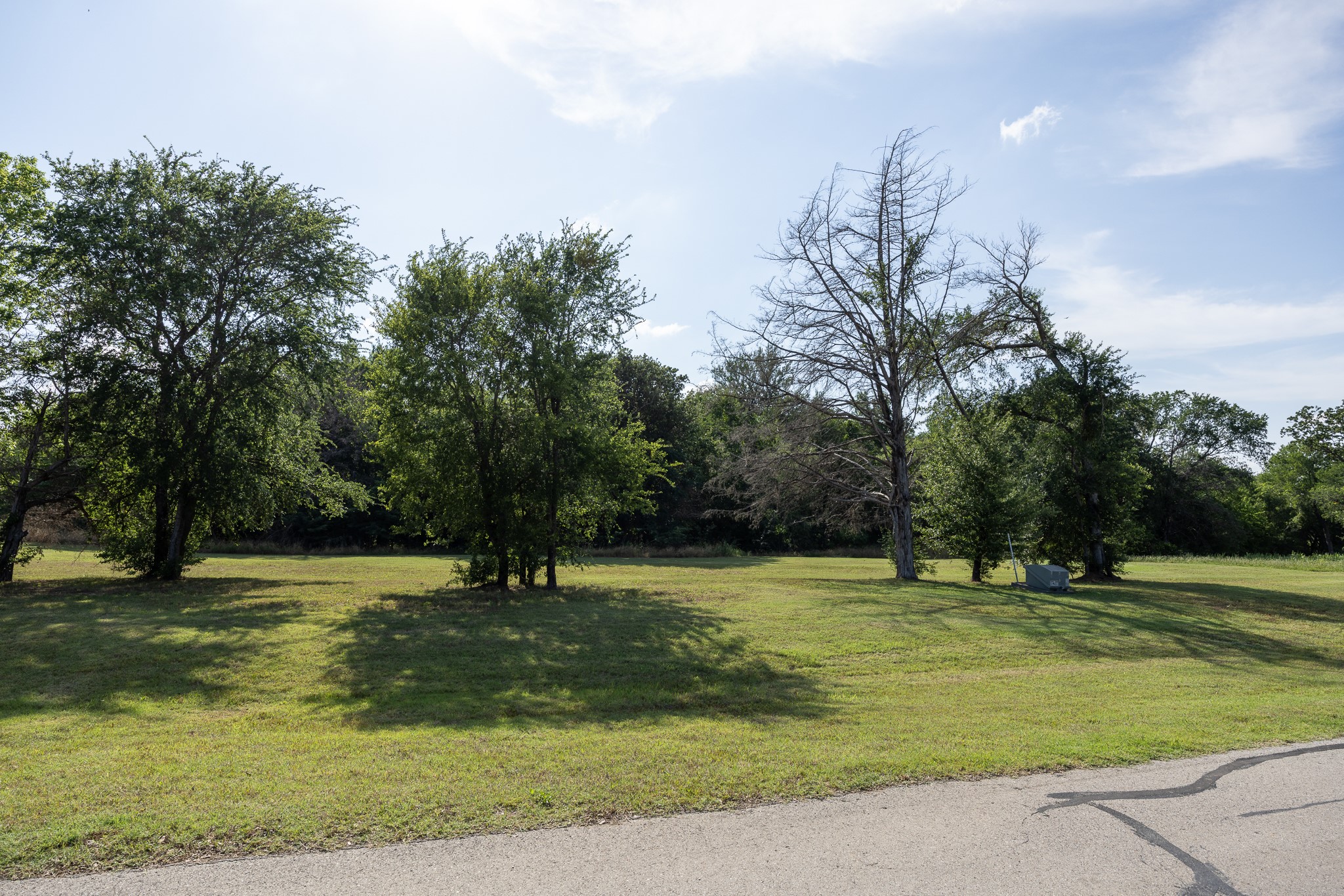 Lot 1 Diamond Point Corsicana TX 75109