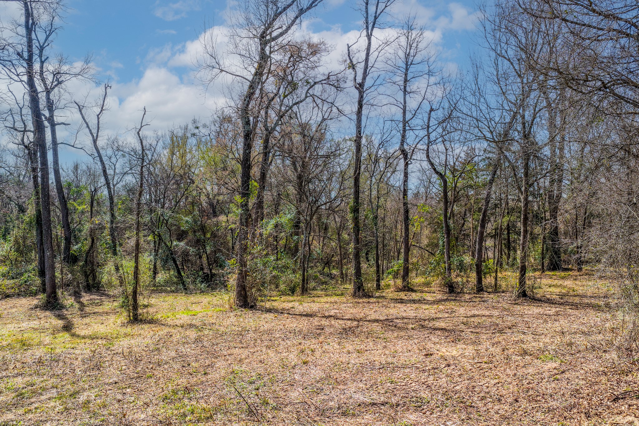 38 Katrina Drive Sulphur Springs TX 75482