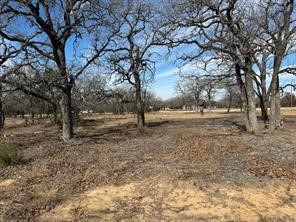 Tbd Cr 2030 Lot 7 Glen Rose TX 76043