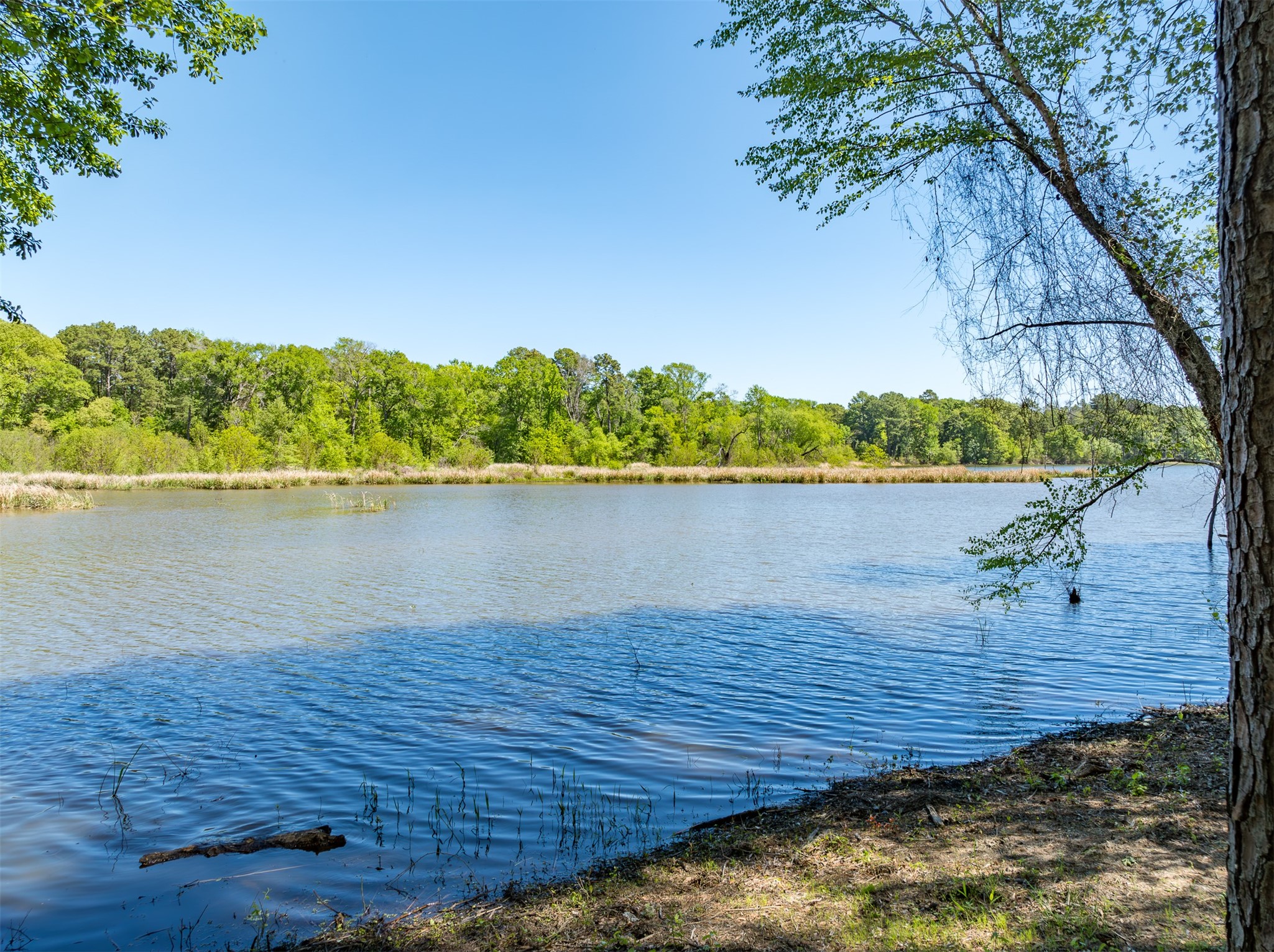 Tbd Fm-3506 Frankston TX 75763