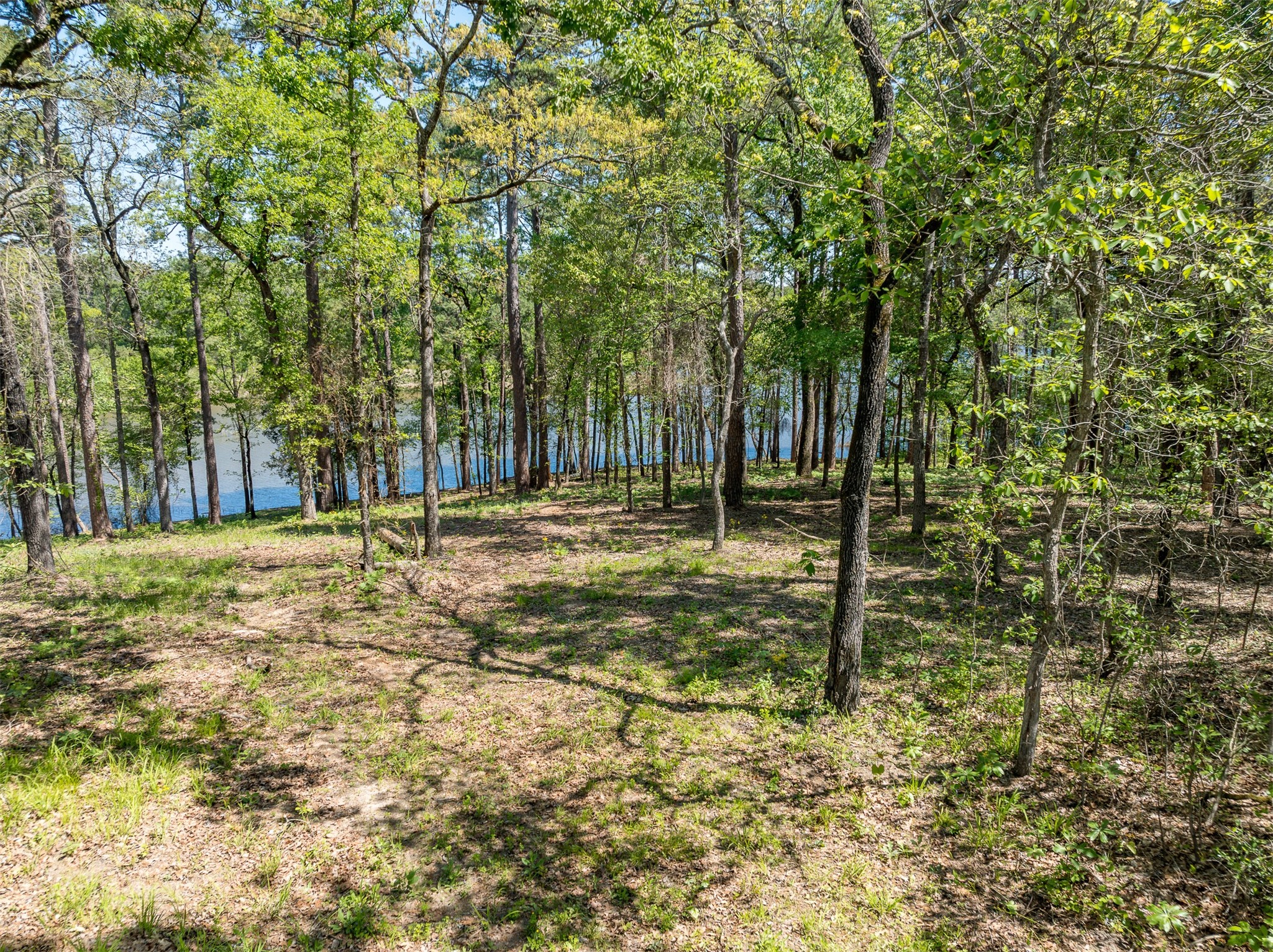 Tbd Fm-3506 Frankston TX 75763