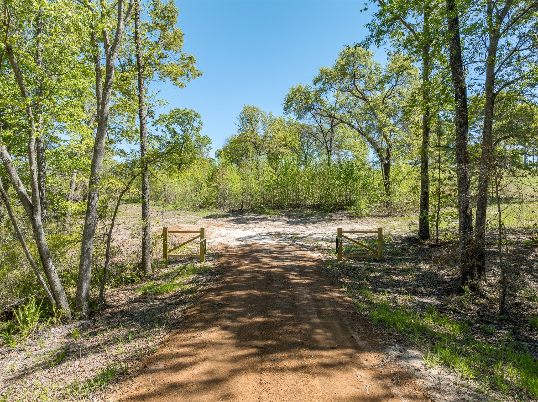 Tbd Fm-3506 Frankston TX 75763