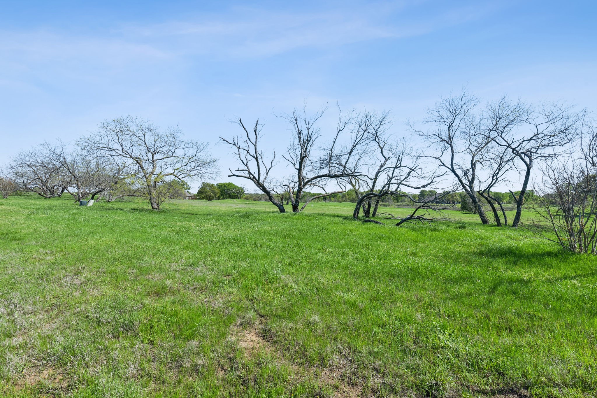 155 Roberts Run Sherman TX 75092