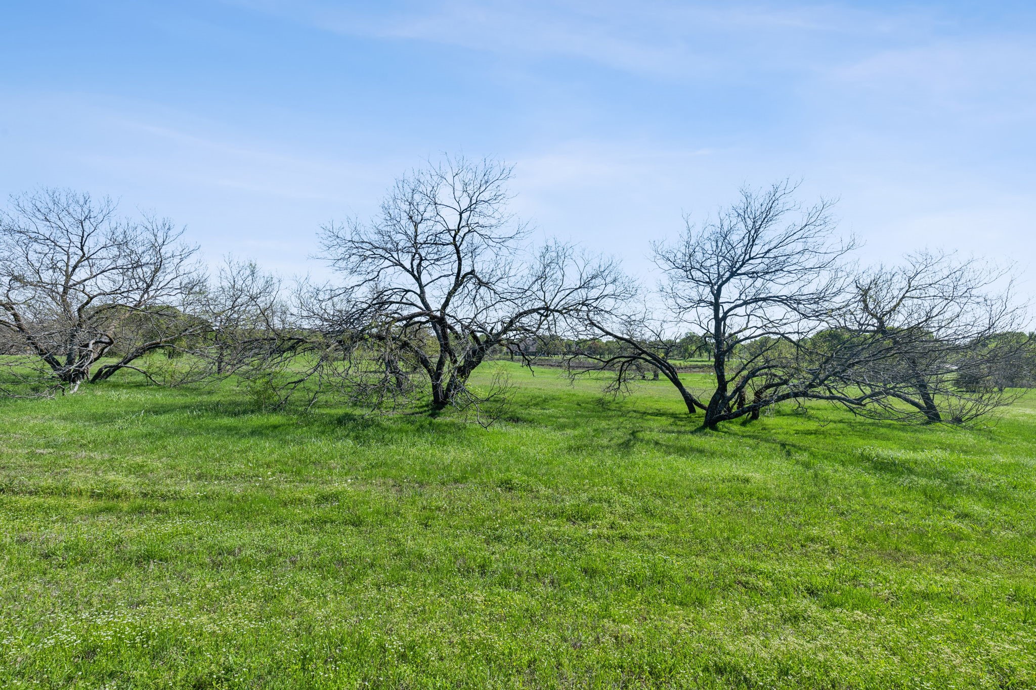 155 Roberts Run Sherman TX 75092