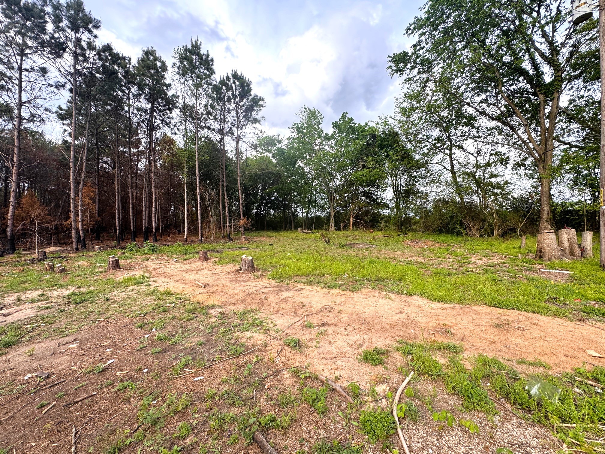 215 Cr 4205 Naples TX 75568