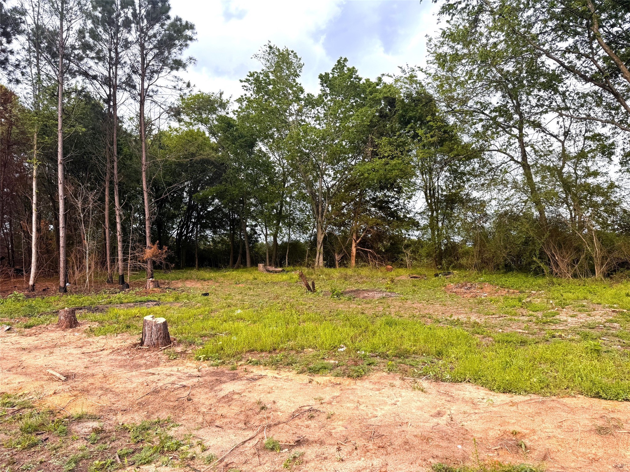 215 Cr 4205 Naples TX 75568