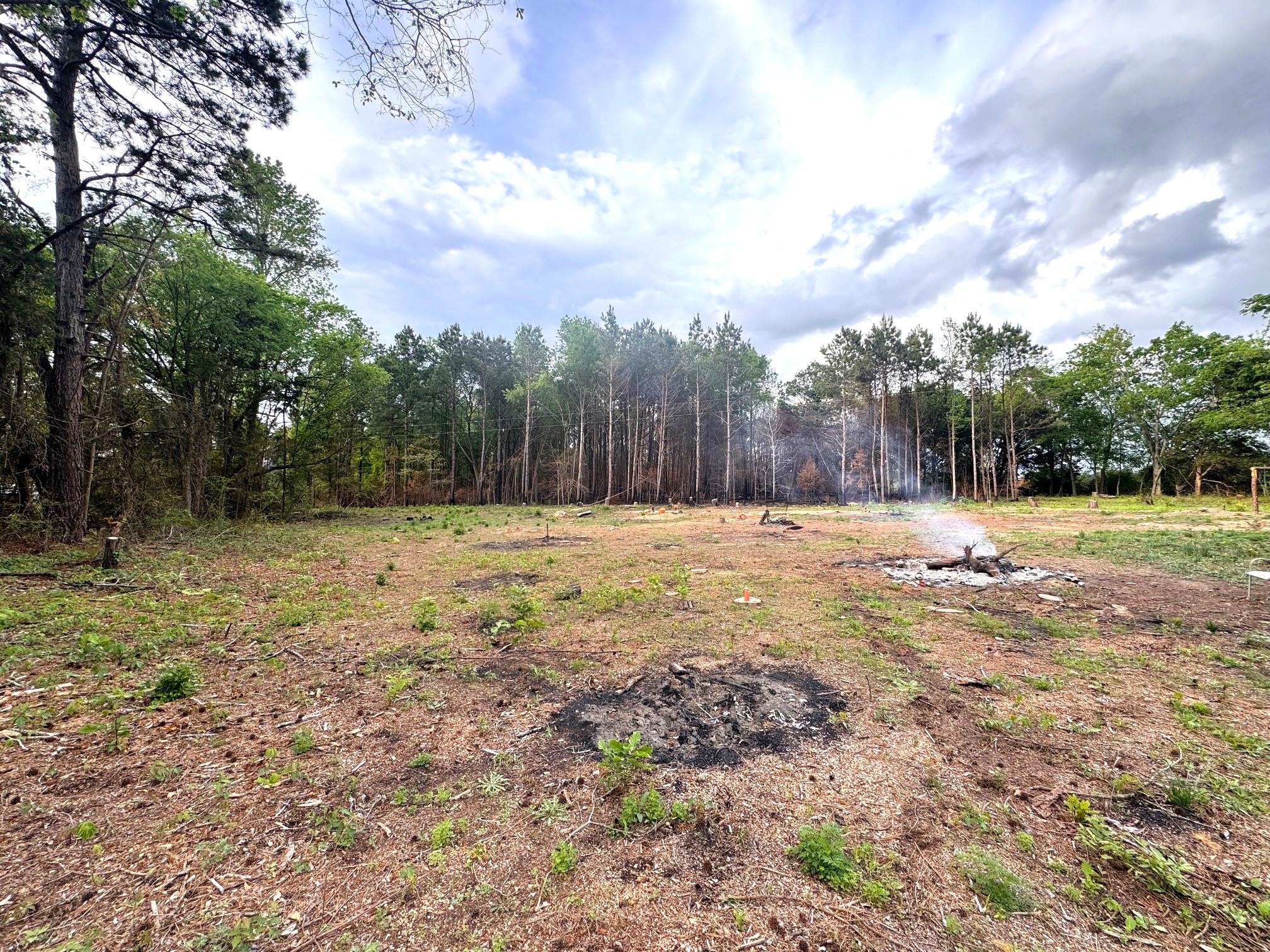 215 Cr 4205 Naples TX 75568