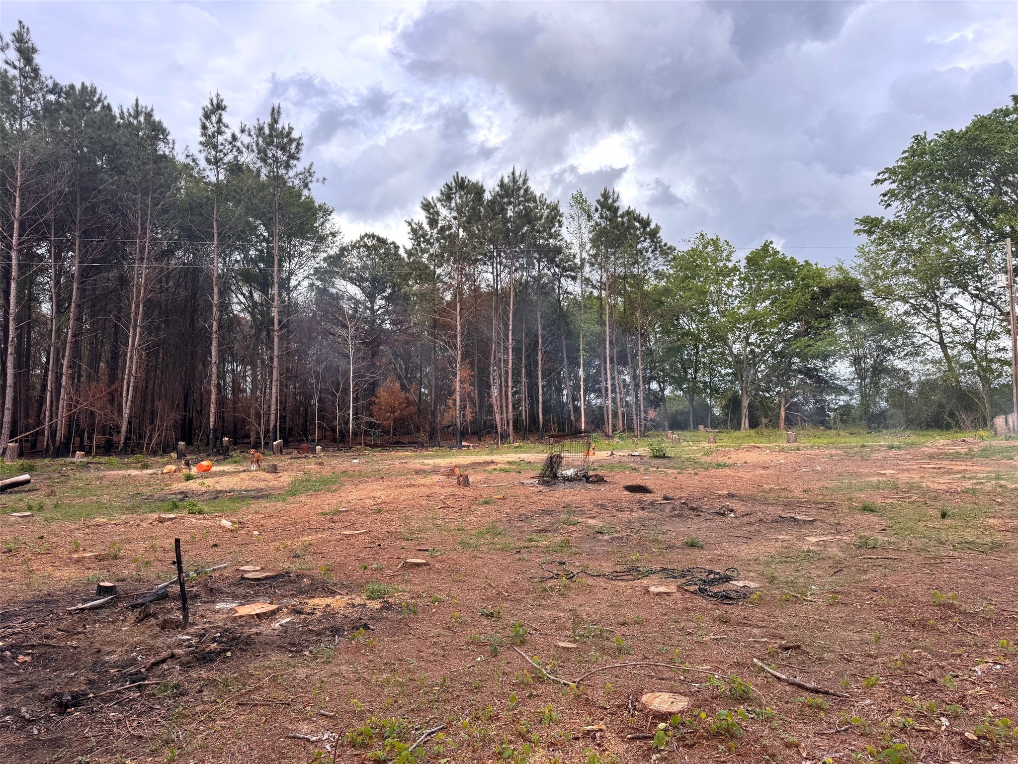 215 Cr 4205 Naples TX 75568