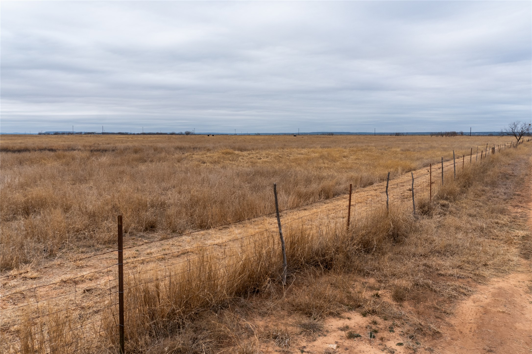 T1 County Road 204 Bradshaw TX 79567