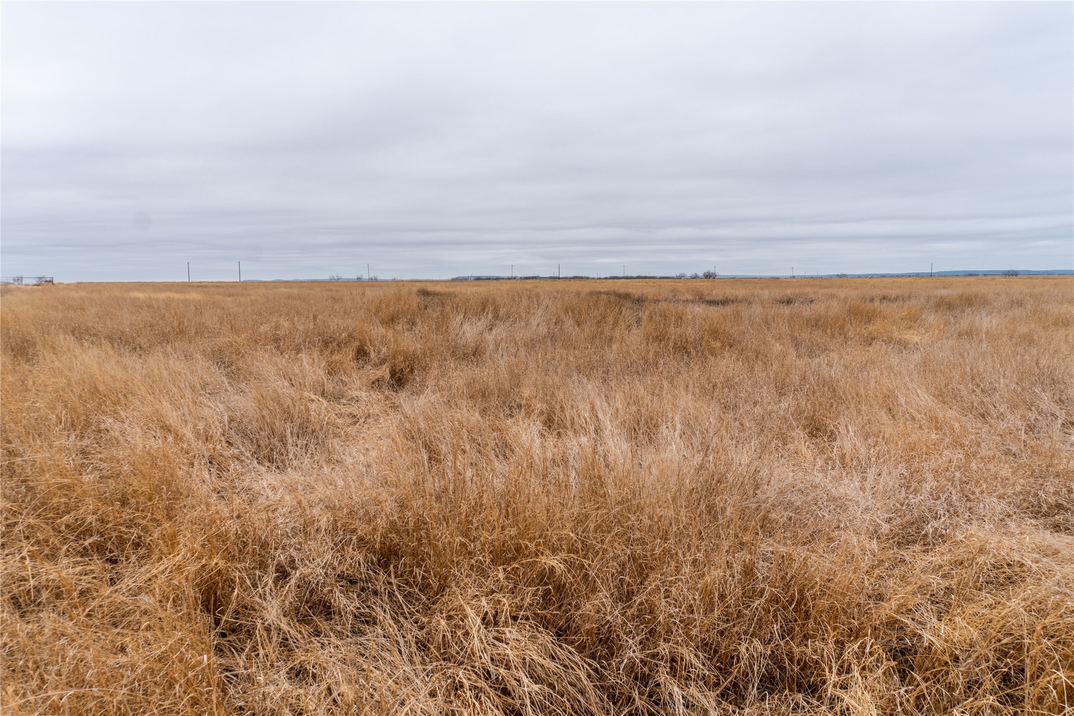 T1 County Road 204 Bradshaw TX 79567