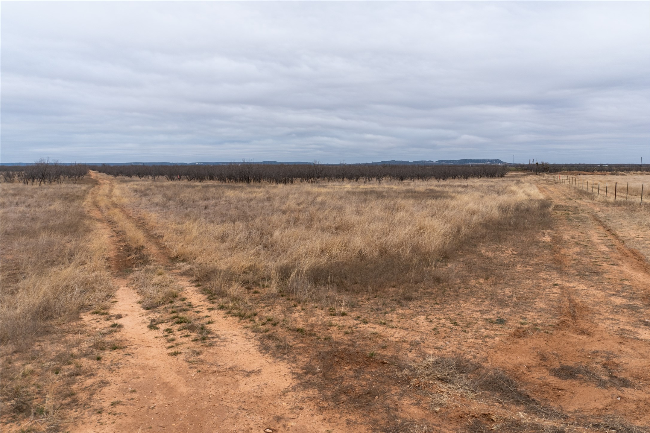 T1 County Road 204 Bradshaw TX 79567